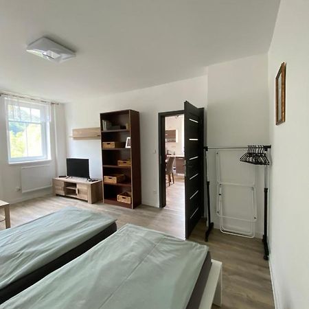 Apartmany U Viaduktu 46 Ústí nad Labem Εξωτερικό φωτογραφία